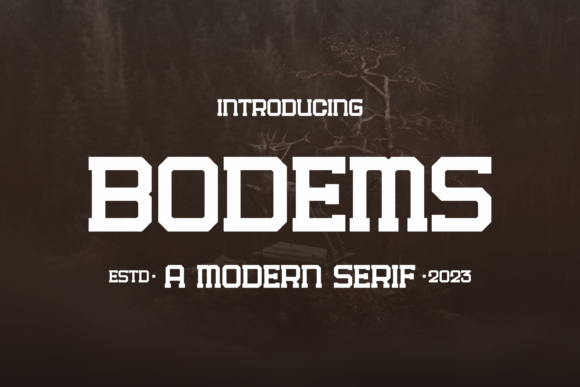 Bodems: The Serif Font for Bold Branding