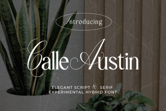 Calle Austin Font for Professional Branding