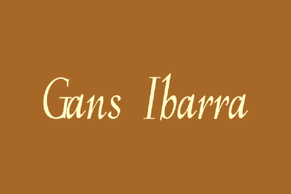 Gans Ibarra: A Timeless Serif Font for Your Brand