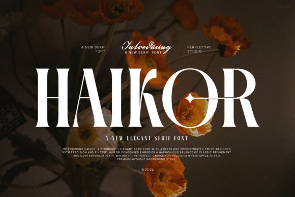 Haikor: The Serif Font That Elevates Campaign Visuals