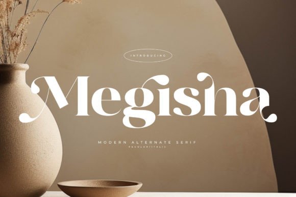 Megisha: A Designer’s Honest Review for Branding